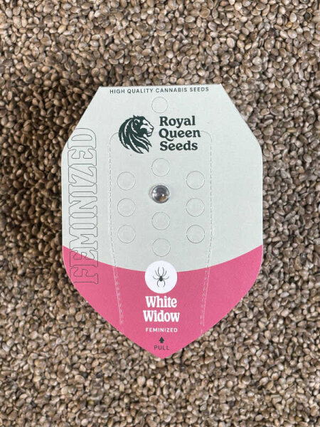 ROYAL QUEEN SEEDS White Widow, 1 samen feminisiert