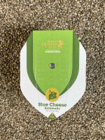 ROYAL QUEEN SEEDS Blue Cheese Automatic, 1 samen automatic