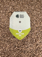 ROYAL QUEEN SEEDS Mexican Rush Auto, 1 samen automatic