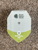 ROYAL QUEEN SEEDS Sticky Queen Auto, 1 samen automatic