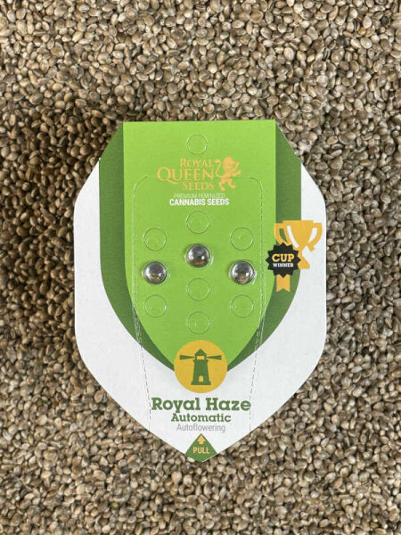 ROYAL QUEEN SEEDS Royal Haze Automatic, 3 samen automatic