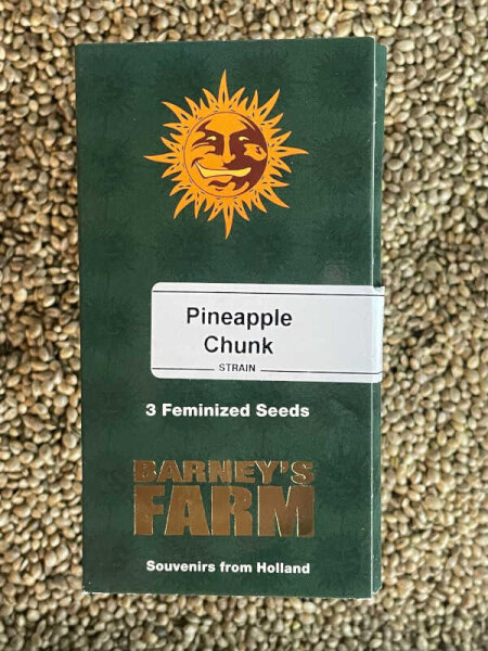 Barney´s Farm Seeds Pineapple Chunk, 3 Samen feminisiert