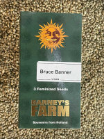 Barney´s Farm Seeds Bruce Banner, 3 Samen feminisiert
