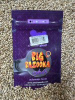 ANESIA SEEDS BIG BAZOOKA AUTO, 3 Samen automatic