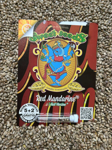 Sweet Seeds Red Mandarine F1 Fast Version, 5+2 Samen feminisiert