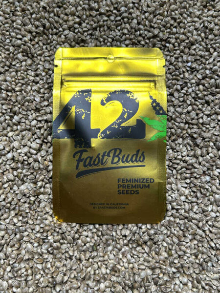 FastBuds Papaya Sherbet, 1 Samen feminisiert