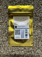 FastBuds Papaya Sherbet, 1 Samen feminisiert