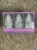 ADVANCED SEEDS Automatic Collection#3, 6 Samen automatic
