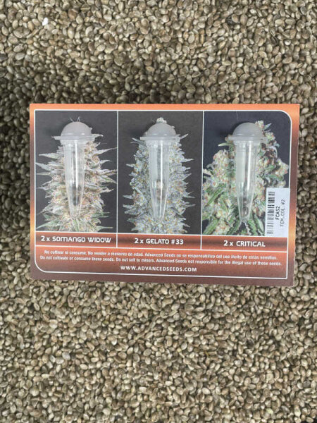 ADVANCED SEEDS Feminzed Collection#2, 6 Samen feminisiert