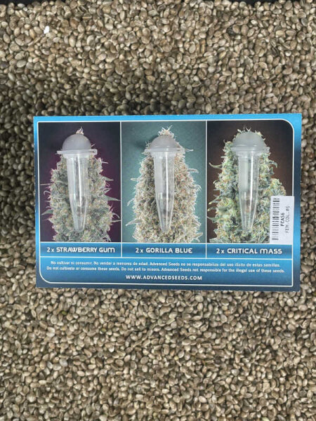 ADVANCED SEEDS Feminzed Collection#6, 6 Samen feminisiert