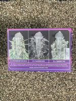 ADVANCED SEEDS Feminzed Collection#7, 6 Samen feminisiert