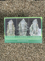 ADVANCED SEEDS Feminzed Collection#10, 6 Samen feminisiert