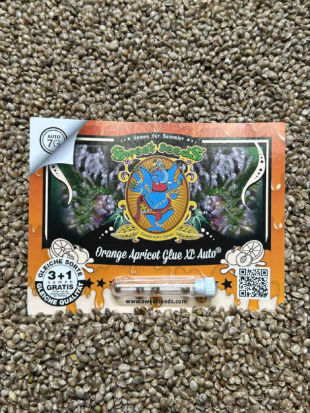 Sweet Seeds Orange Apricot Glue XL Auto, 3+1 Samen automatic