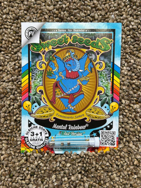 Sweet Seeds Mental Rainbow F1 Fast Version Auto, 3+1 Samen feminisiert