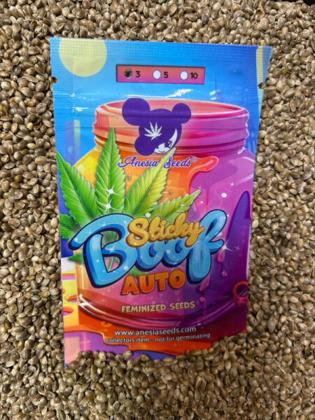 ANESIA SEEDS STICKY BOOF AUTO, 3 Samen automatic