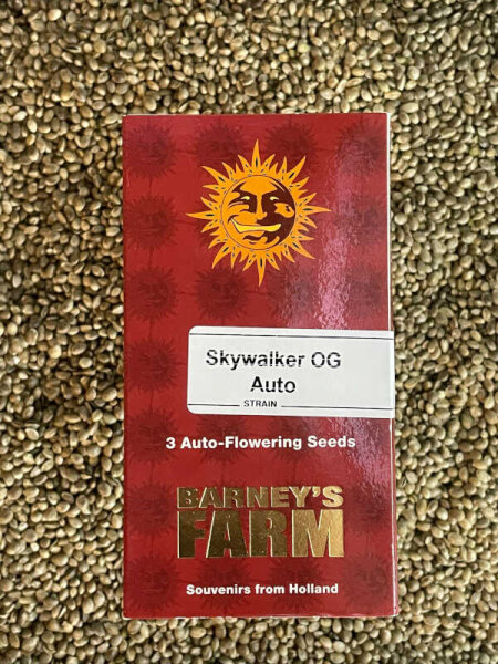 Barney`s Farm Seeds Skywalker OG Auto, 3 Samen automatic