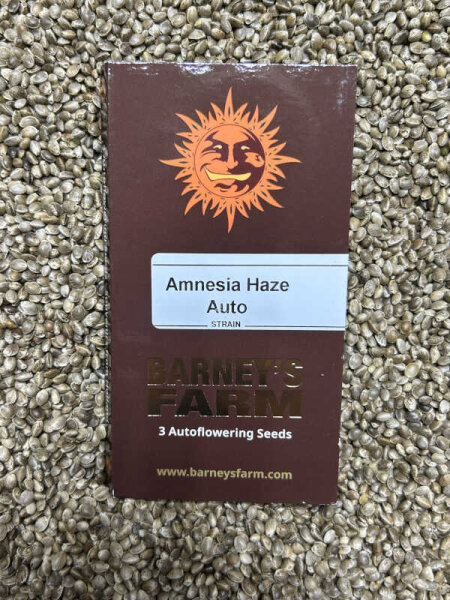 Barney`s Farm Seeds Amnesia Haze Auto, 3 Samen automatic