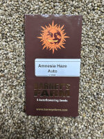 Barney`s Farm Seeds Amnesia Haze Auto, 3 Samen automatic