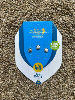 ROYAL QUEEN SEEDS Fast Eddy CBD Auto , 3 Samen automatic