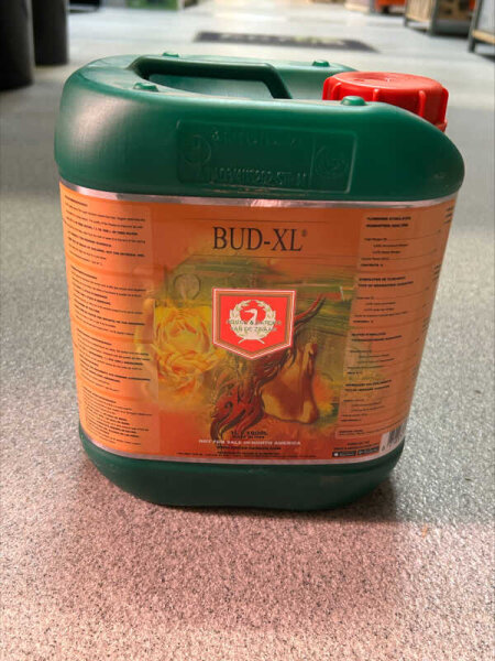 House & Garden Bud XL