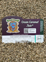 Sweet Seeds® Cream Caramel® 3+1 Samen automatic