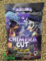 ANESIA SEEDS CHIMERA CUT, feminisiert