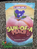 ANESIA SEEDS SUN OF A PEACH, feminisiert