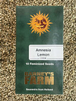 Barney`s Farm Seeds Amnesia Lemon, feminisiert