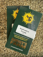 Barney`s Farm Seeds Ayahuasca Purple, feminisiert