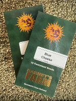 Barney`s Farm Seeds Blue Cheese, feminisiert