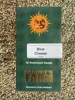 Barney`s Farm Seeds Blue Cheese, feminisiert