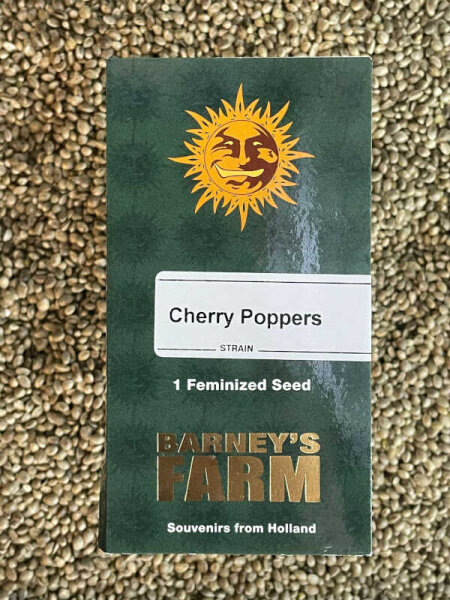 Barney`s Farm Seeds Cherry Poppers, feminisiert