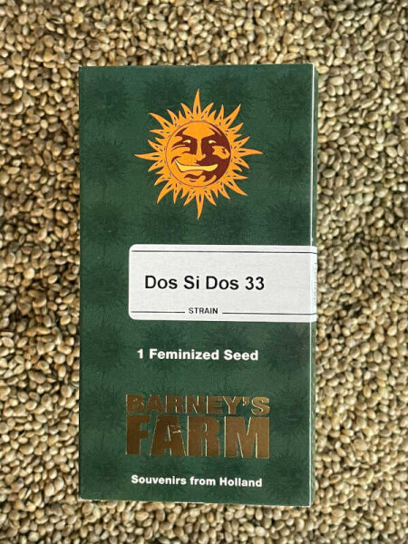 Barney`s Farm Seeds Dos Si Dos 33, feminisiert