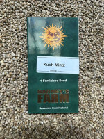 Barney`s Farm Seeds Kush Mintz, feminisiert