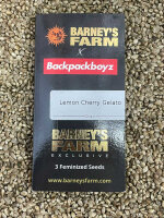 Barney`s Farm Seeds Lemon Cherry Gelato, feminisiert
