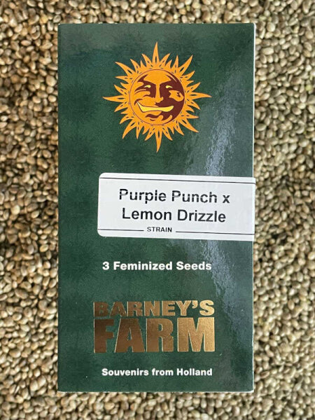 Barney`s Farm Seeds Purple Punch x Lemon Drizzle, feminisiert