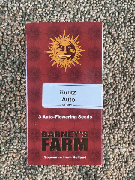 Barney`s Farm Seeds Runtz Auto, automatic