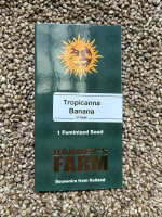 Barney`s Farm Seeds Tropicanna Banana, feminisiert