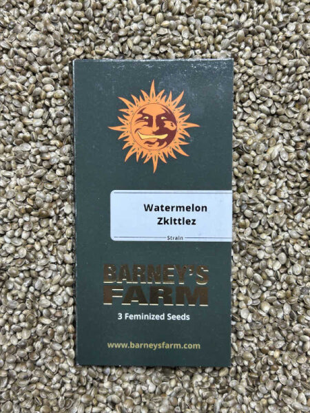 Barney`s Farm Seeds Watermelon Zkittlez, feminisiert