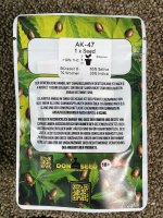 Don Seed Company AK 47, feminisiert