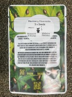 Don Seed Company Blackberry Moonrocks, feminisiert