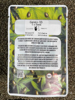 Don Seed Company Glato 33, feminisiert