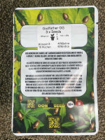 Don Seed Company Godfathers OG, feminisiert