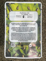 Don Seed Company Godfathers OG, feminisiert