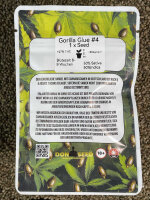 Don Seed Company Gorilla Glue G4, feminisiert