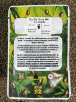 Don Seed Company Gorilla Glue G4, feminisiert