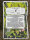 Don Seed Company Gorilla Glue G4, feminisiert