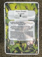 Don Seed Company Motorbreath, feminisiert