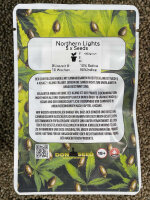 Don Seed Company Northern Light, feminisiert