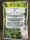 Don Seed Company Northern Light, feminisiert
